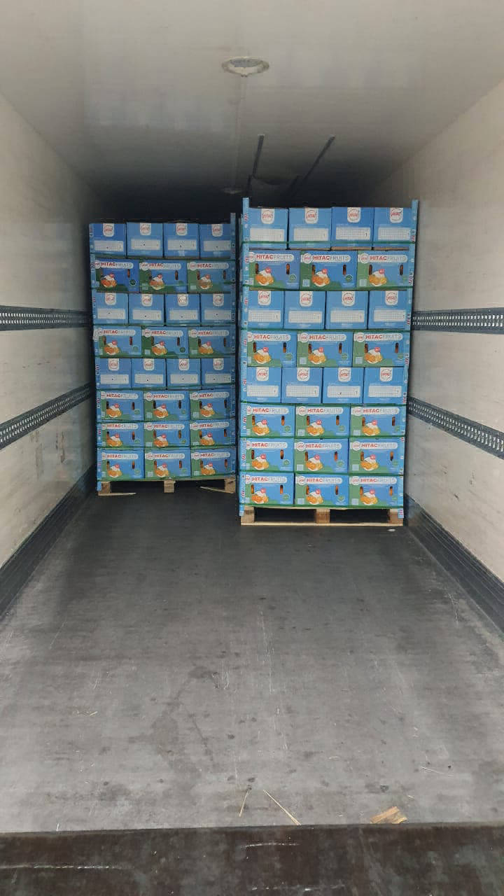 exporters of orange