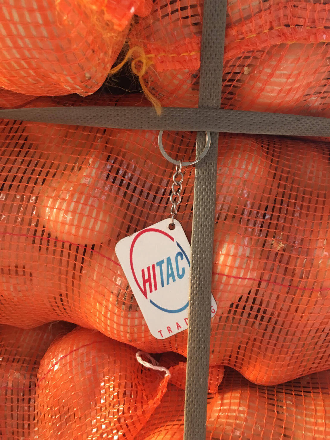 yellow onion exporters