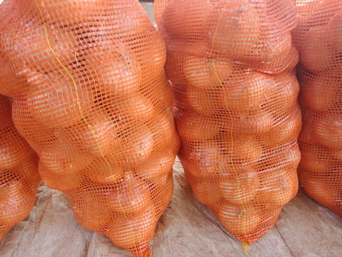 yellow onion exporters
