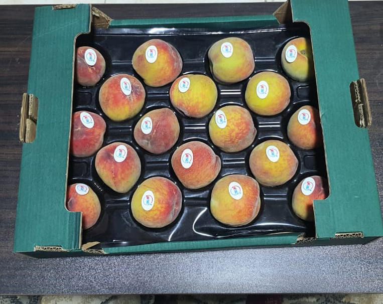 exporting peaches