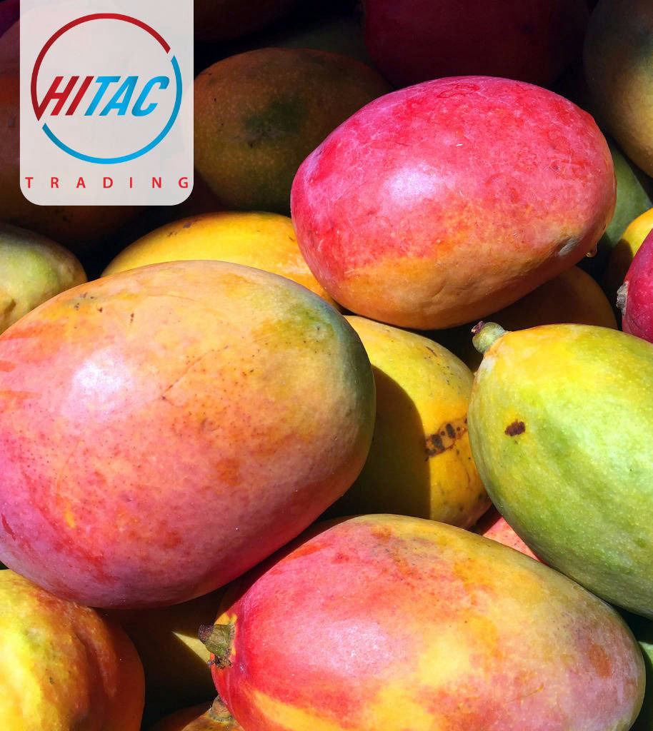 Mango