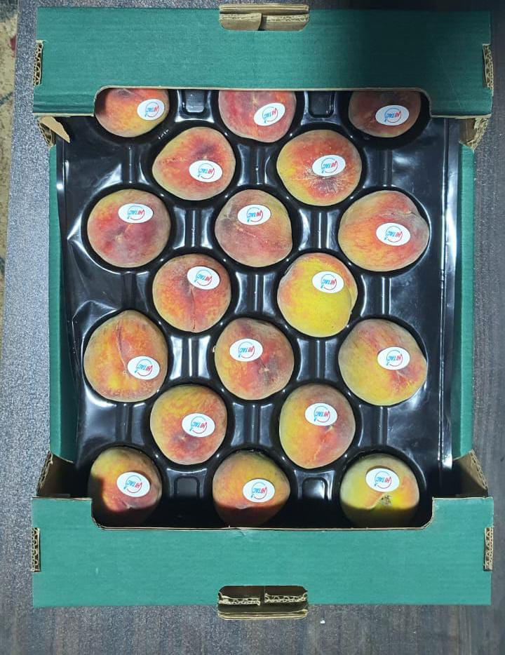 peaches exporting countries