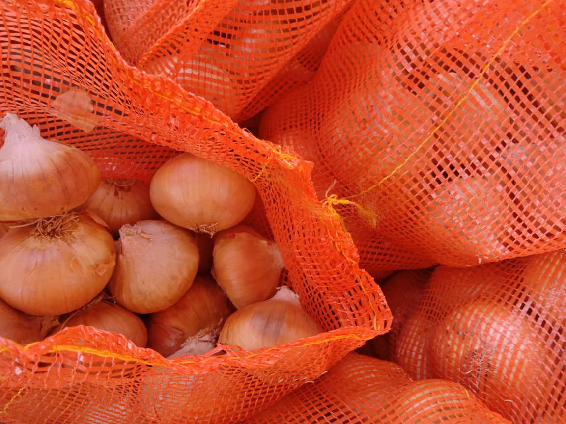 top onion exporters