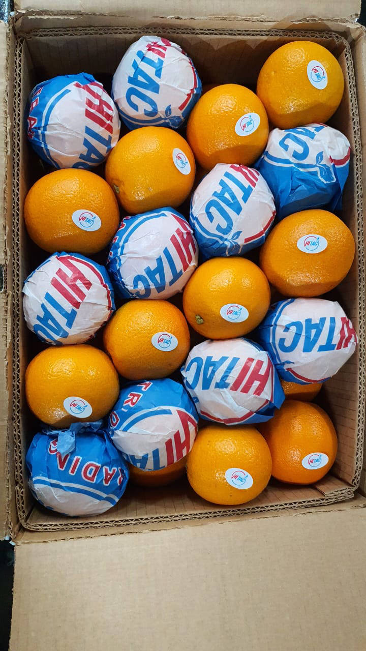 Orange Exporting company