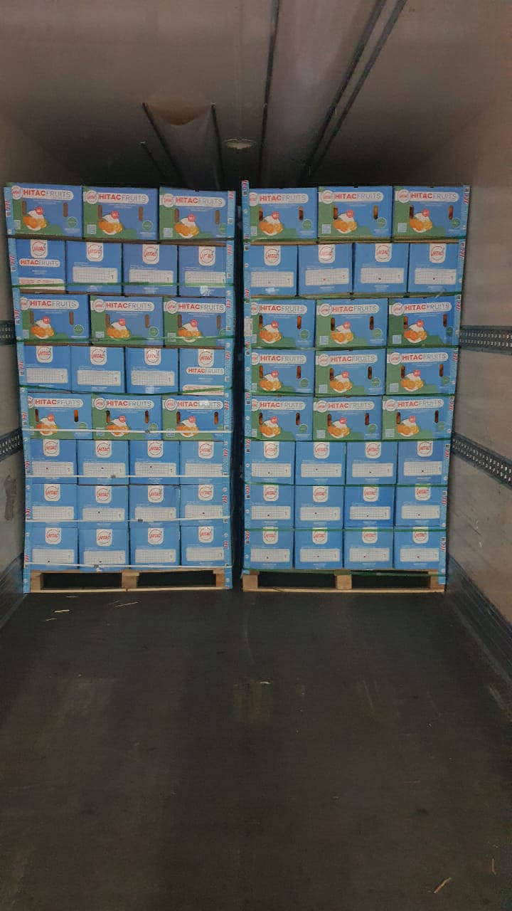 fresh orange exporters