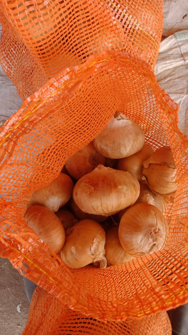 red onion exporters