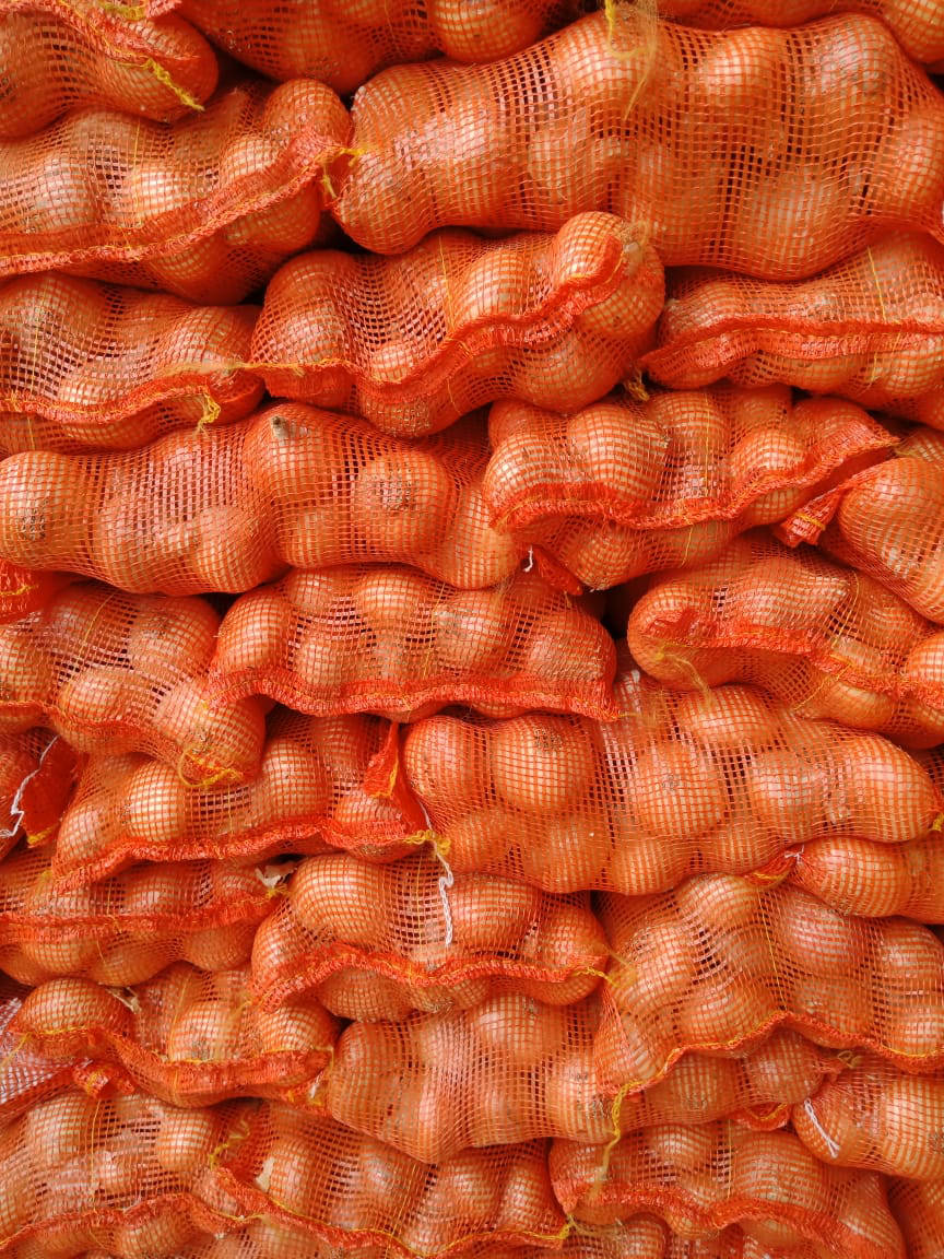 onion export quality