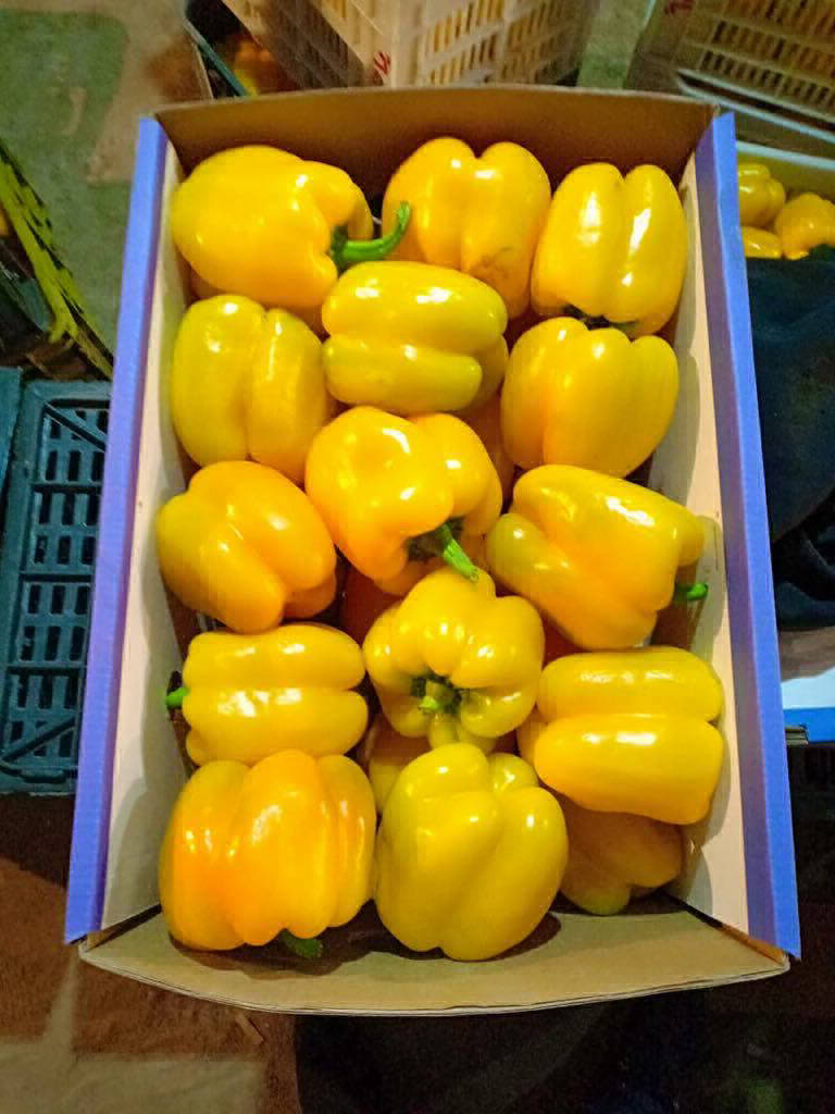 pepper exporter