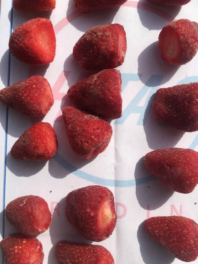 iqf frozen strawberry fruit export company