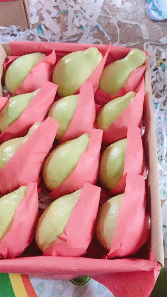 guava export price