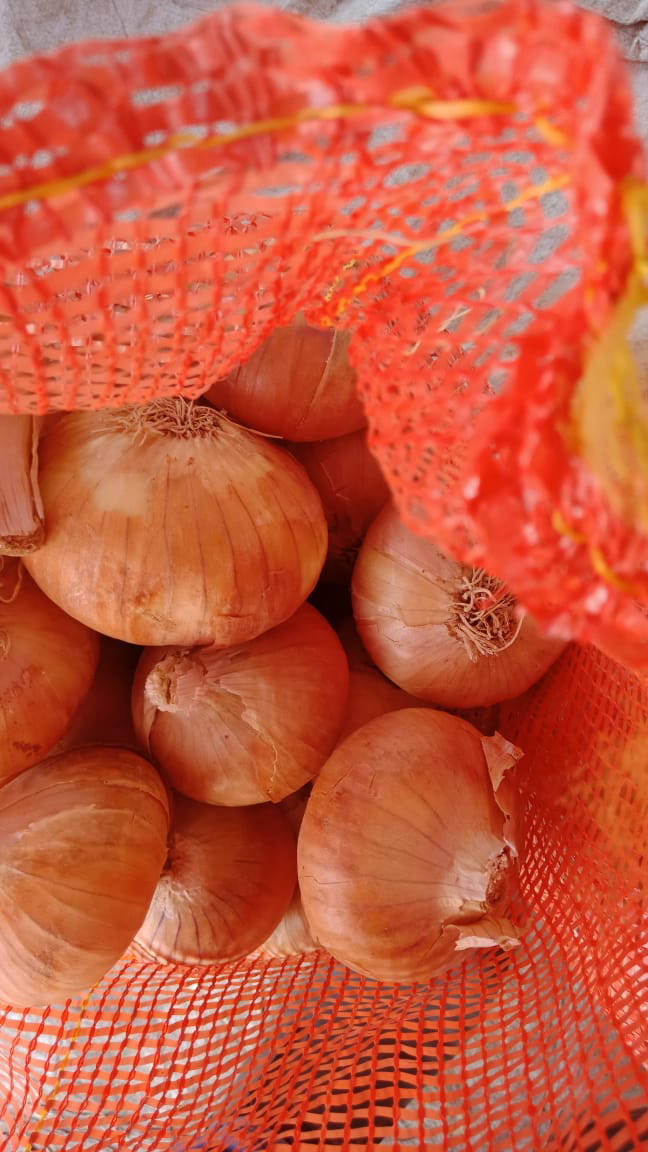 onion export value