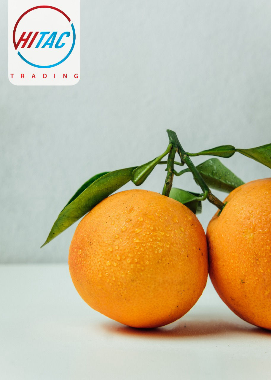 EGYPTIAN ORANGES
