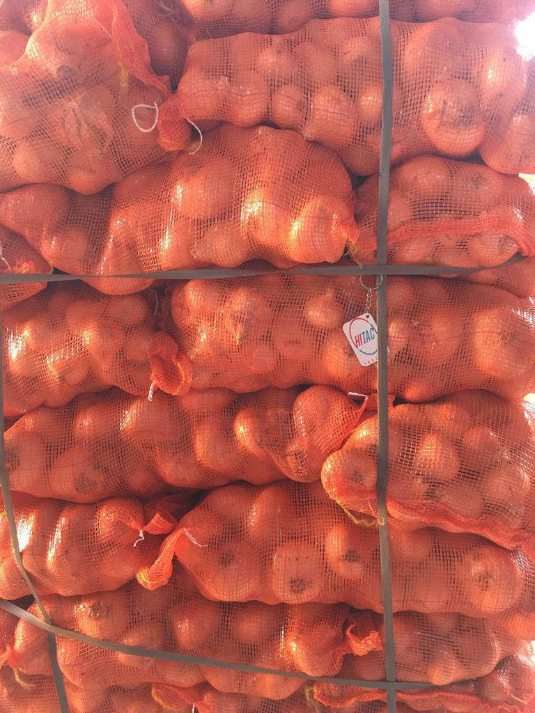 yellow onion exporters