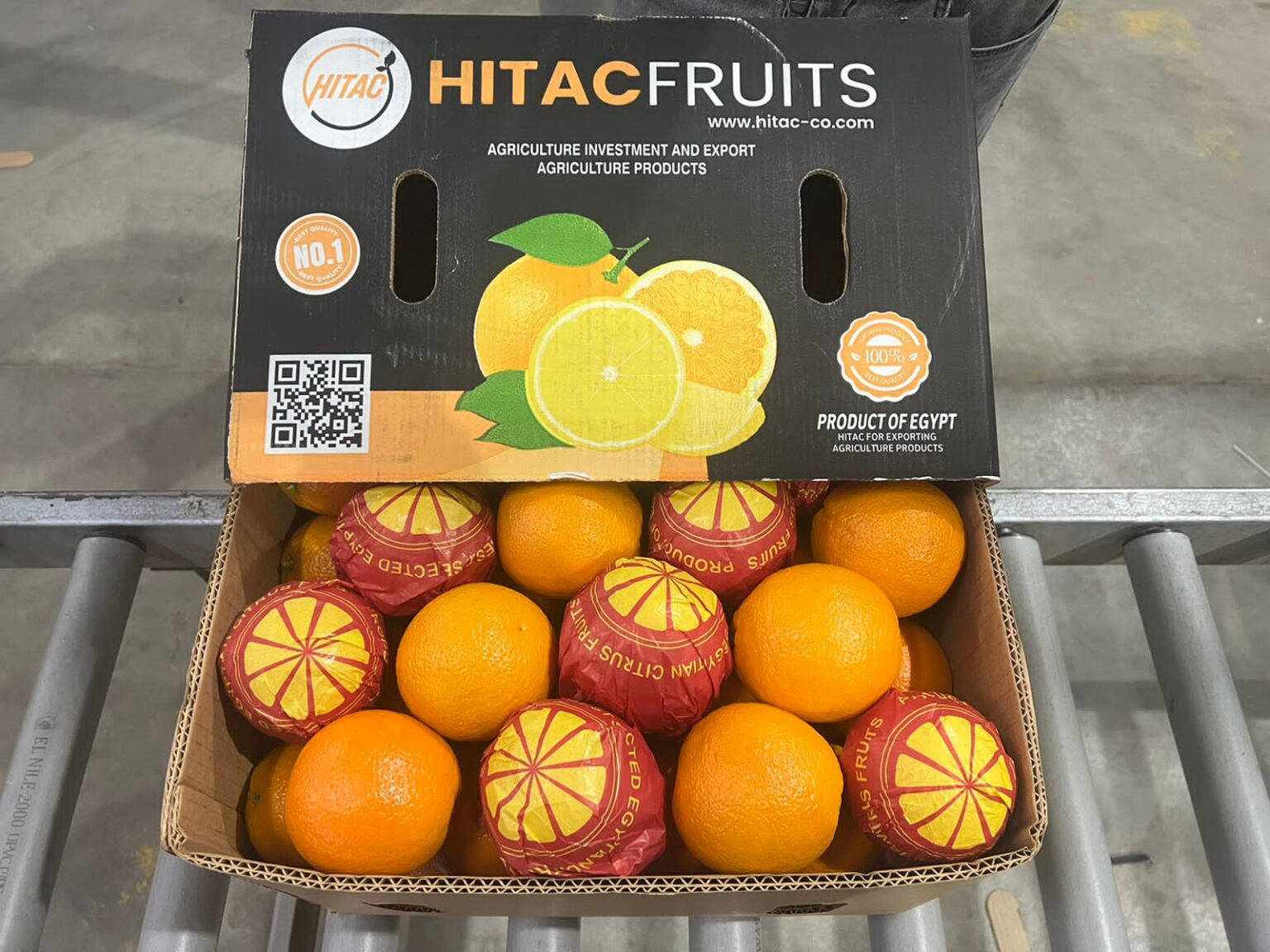 Orange Exporting company