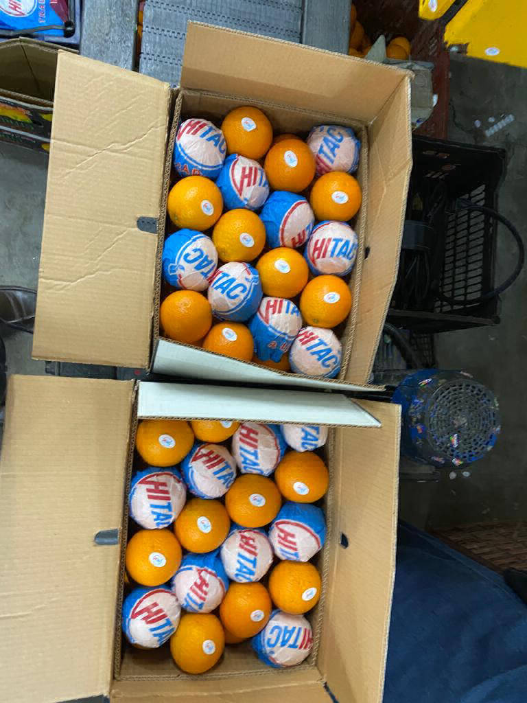 fresh oranges