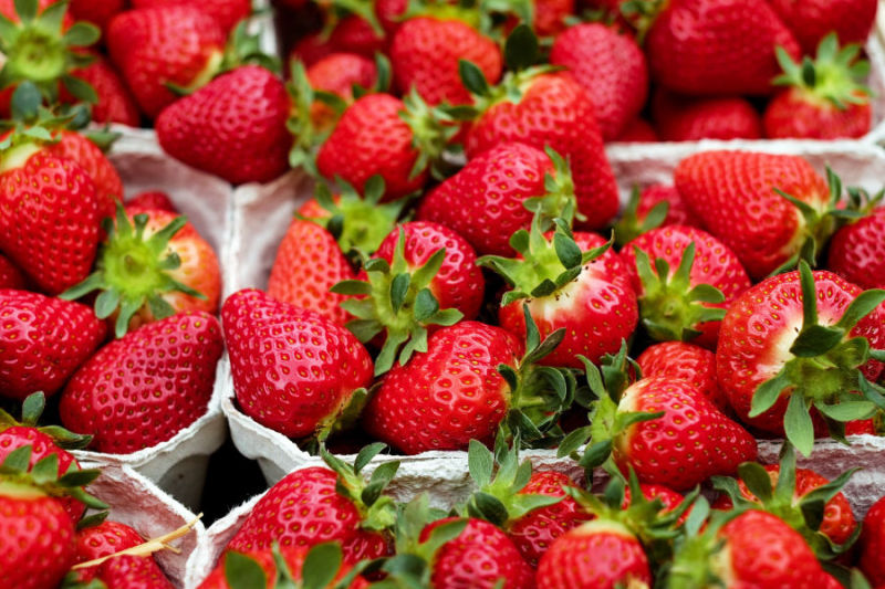 strawberries export company ( fresh + iqf frozen ) 