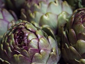 Artichoke