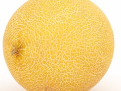 melon