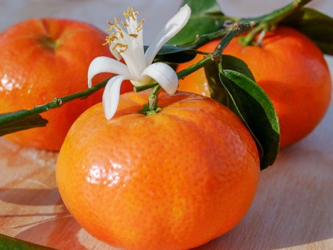 Mandarin