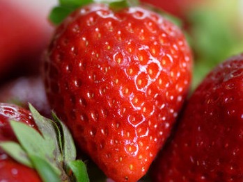 Strawberries