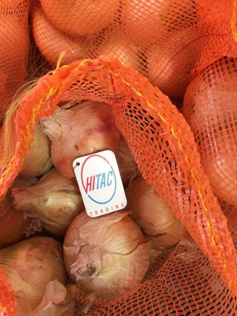 yellow onion exporters
