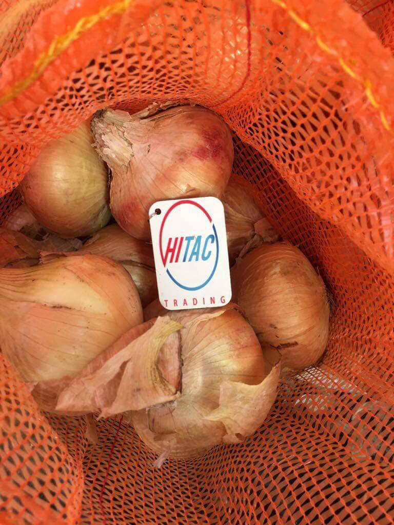 yellow onion exporters