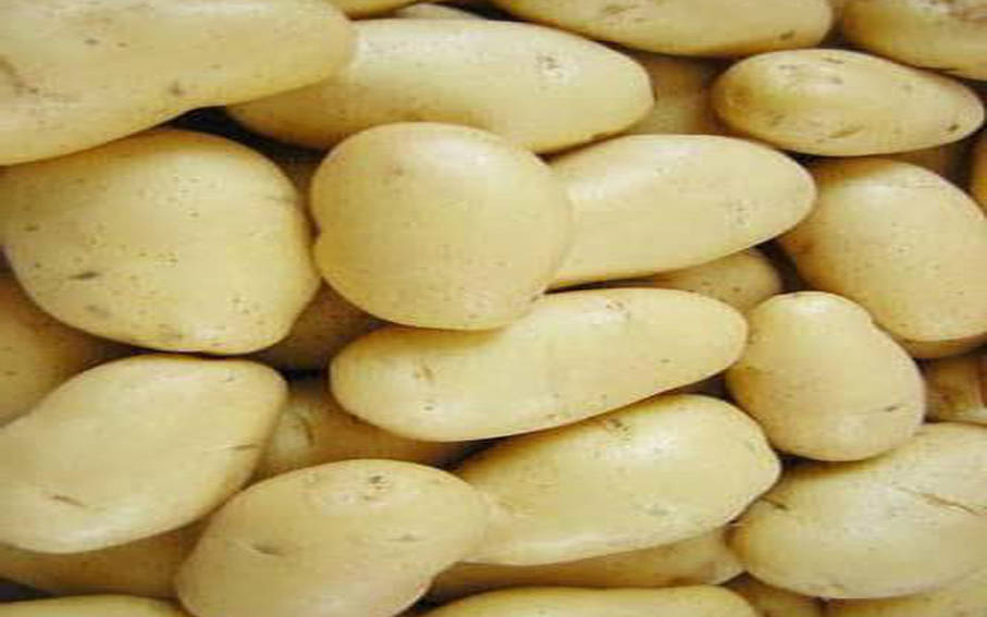 potato export