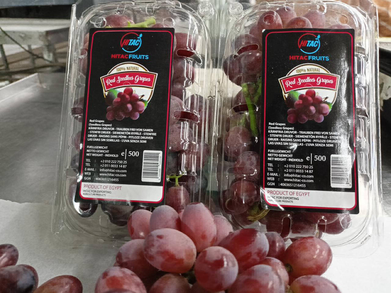 grabes export company