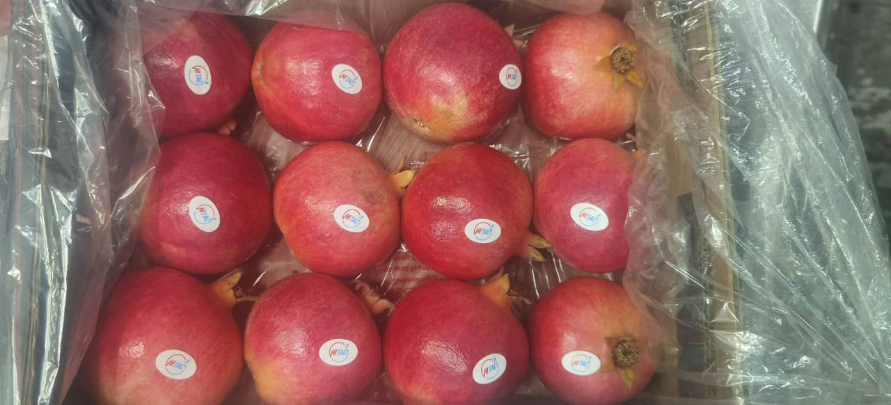 fresh pomegranates 