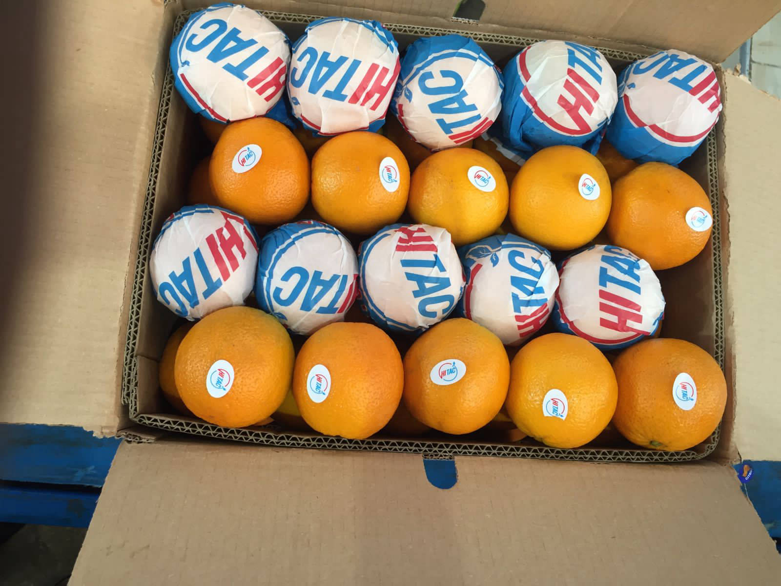 Valencia Orange Exporting company