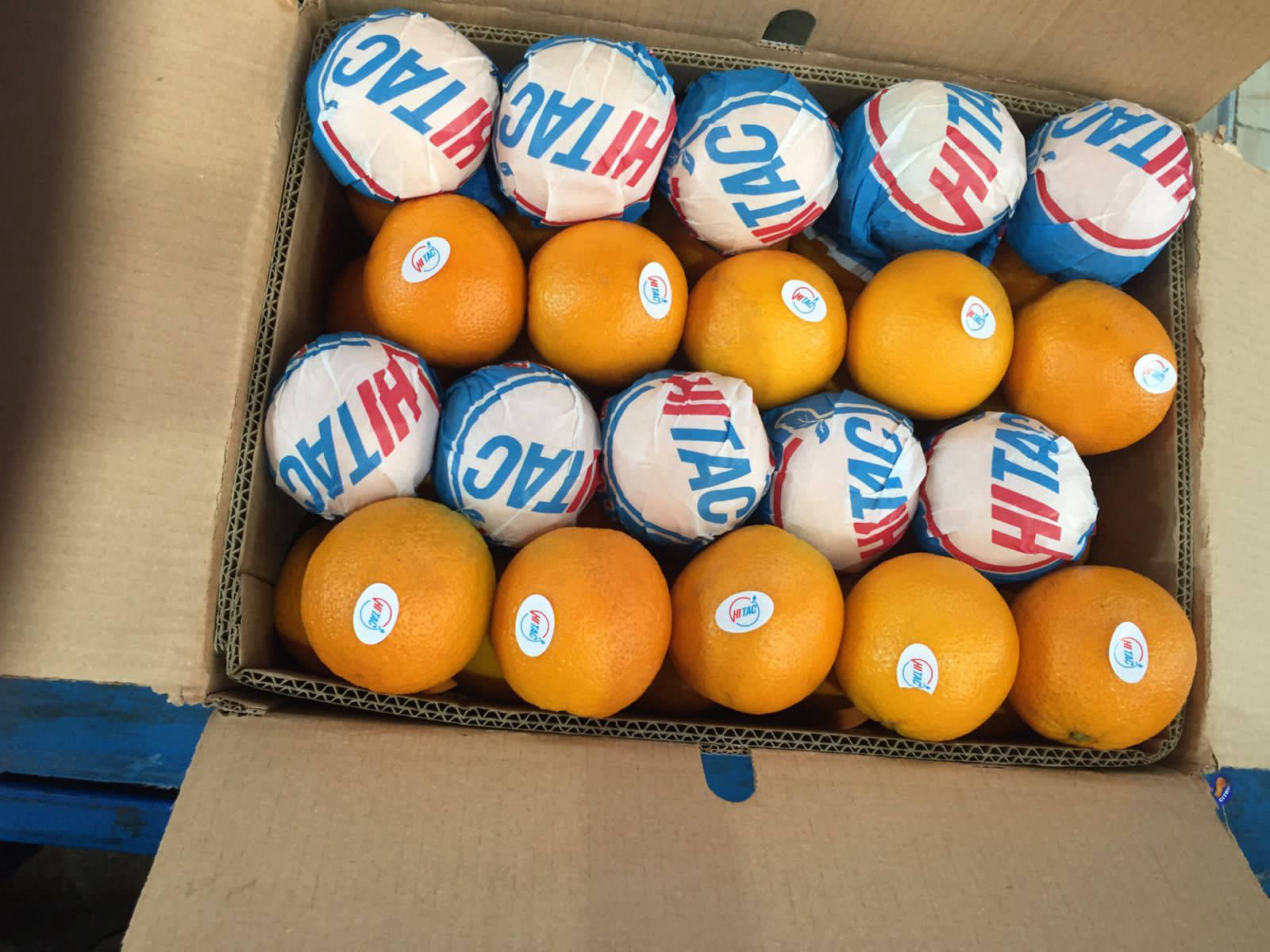 Valencia Orange Exporting company