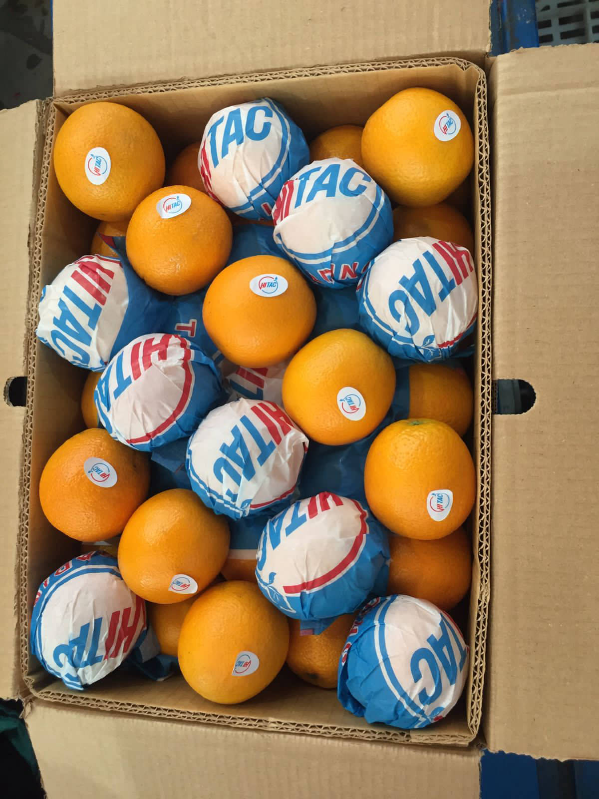 Valencia Orange