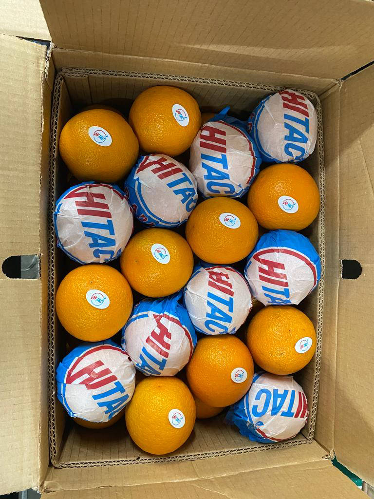 oranges citrus export company
