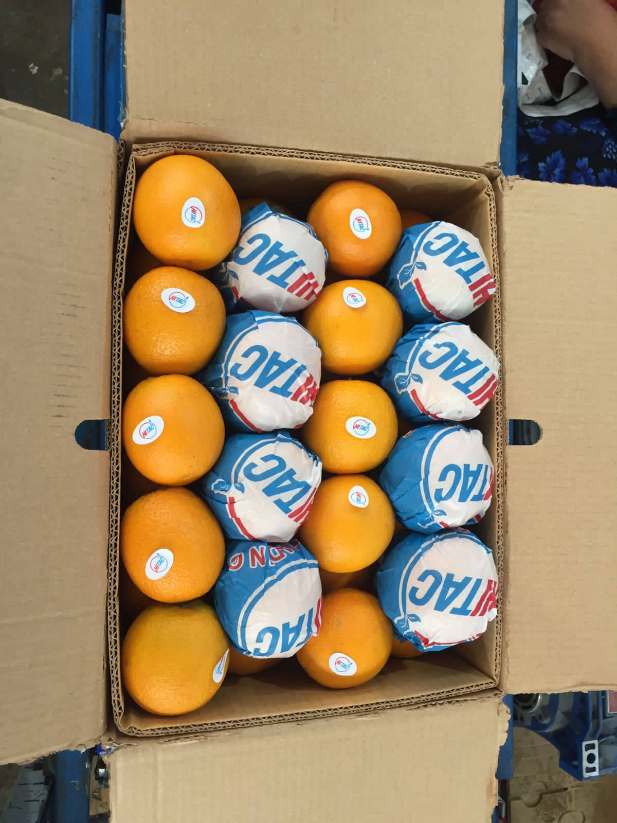 oranges premium high quality   