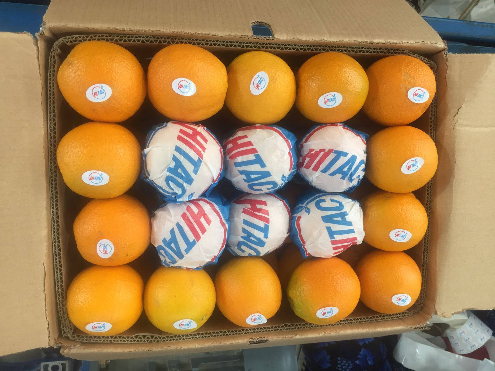 fresh orange export company