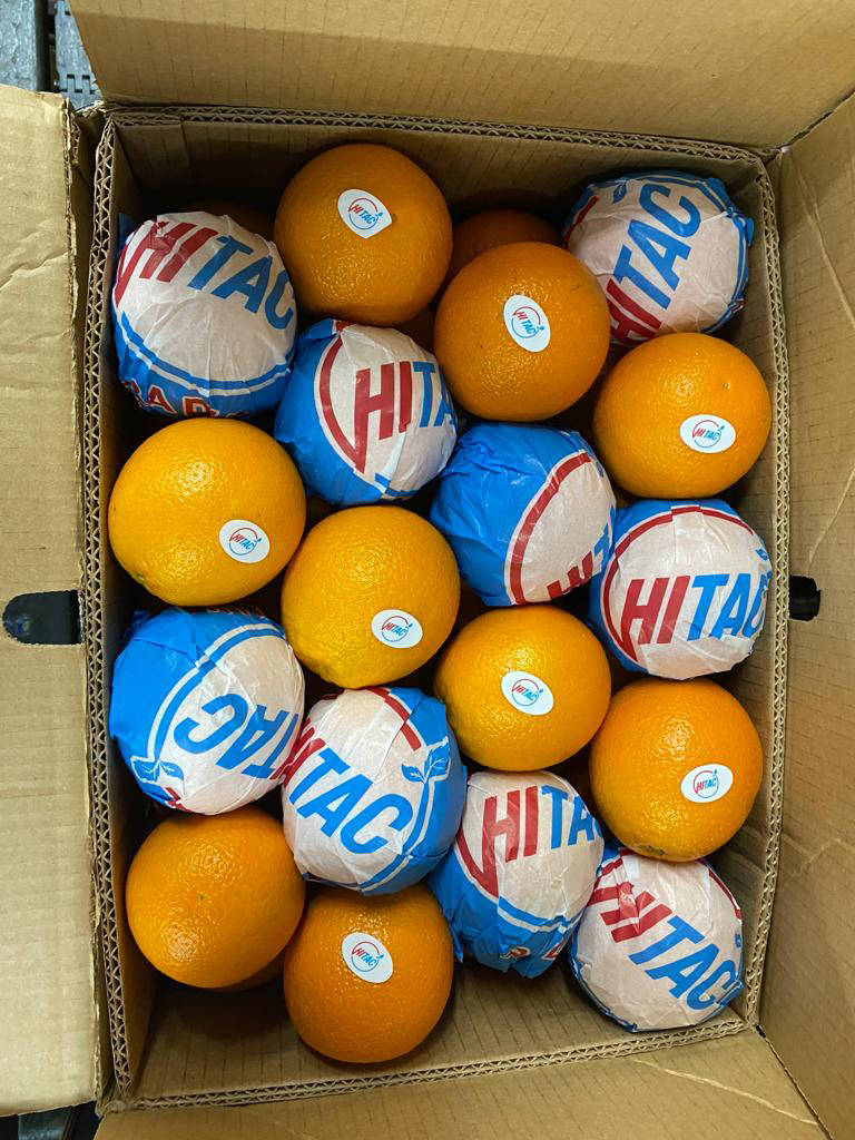 navel oranges