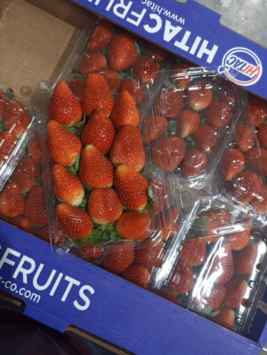 strawberry fruit export company