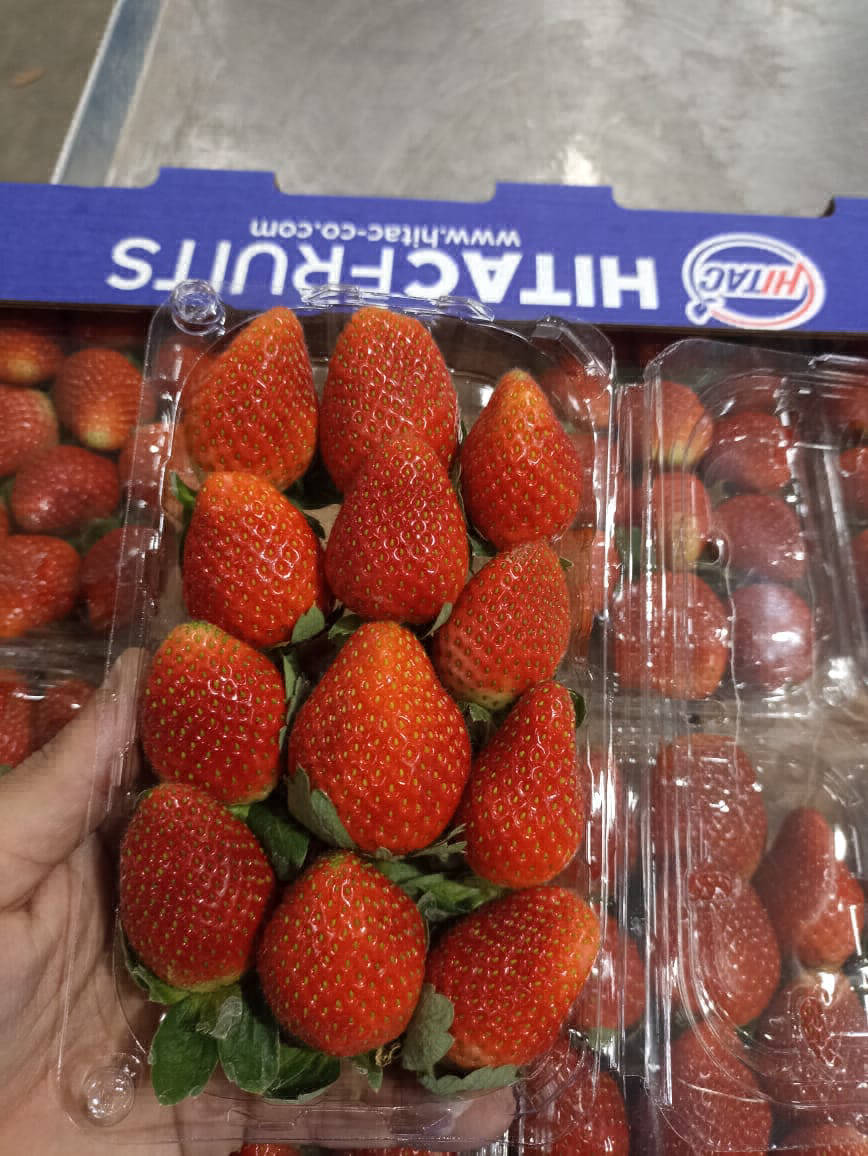 strawberry fruit export company