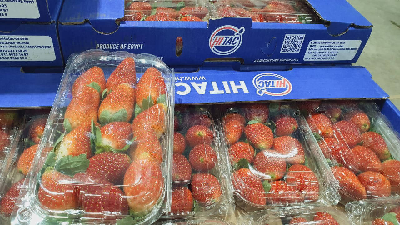 strawberry fruit export company