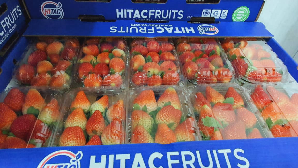 strawberry fruit export company