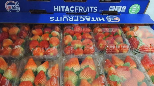 Fruits