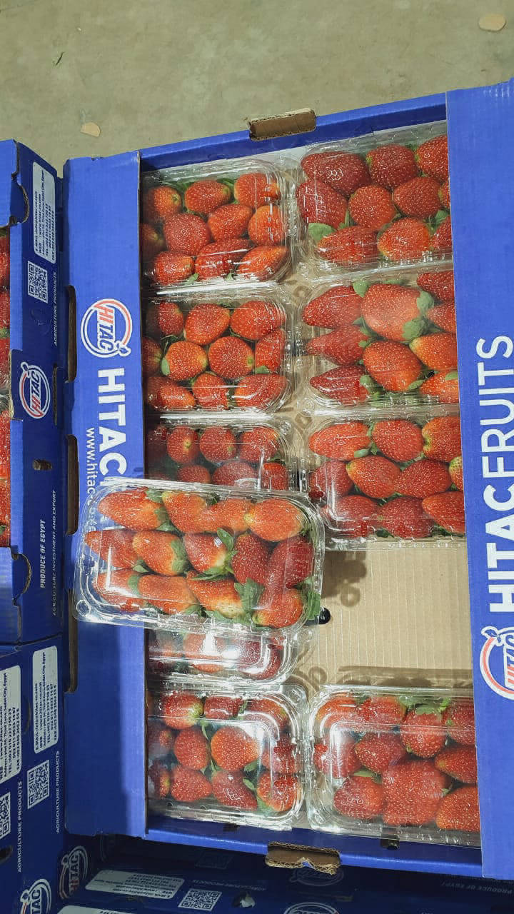 strawberry fruit export company
