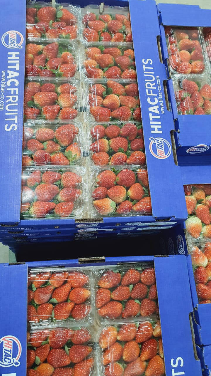 strawberry fruit export company
