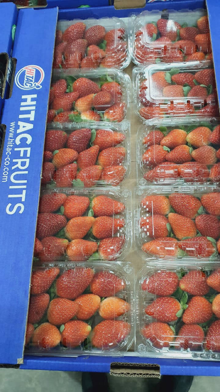 strawberry fruit export company